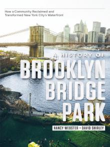 A History of Brooklyn Bridge Park Read online