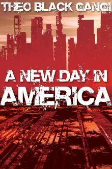 A New Day in America Read online