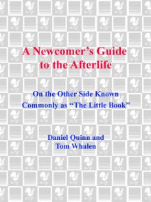 A Newcomer's Guide to the Afterlife Read online