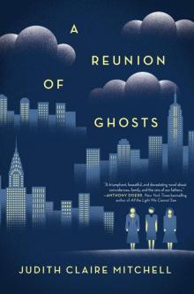 A Reunion Of Ghosts: A Novel