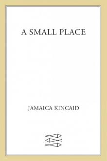 A Small Place Read online