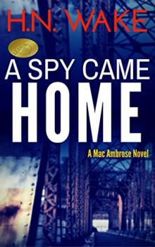 A Spy Came Home Read online