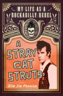 A Stray Cat Struts Read online