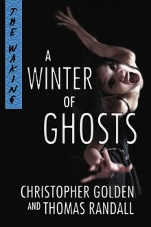 A Winter of Ghosts Read online