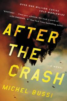 After the Crash: A Novel Read online