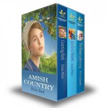 Amish Country Box Set: Restless HeartsThe Doctor's BlessingCourting Ruth Read online