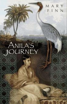 Anila's Journey Read online
