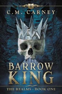 Barrow King: The Realms Book One (A LitRPG Adventure) Read online