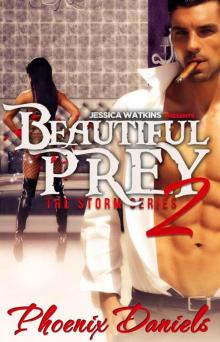 Beautiful Prey 2: The Storm Series (BWWM Romance) Read online