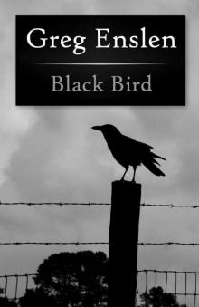 Black Bird Read online