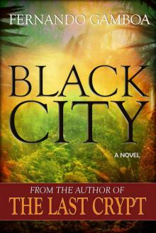 BLACK CITY (Ulysses Vidal Adventure Series Book 2) Read online