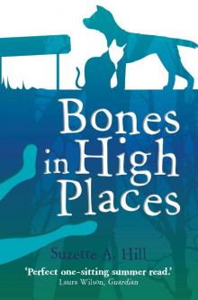 Bones in High Places Read online
