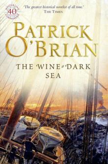 Book 16 - The Wine-Dark Sea