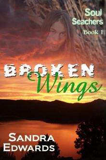 Broken Wings Read online