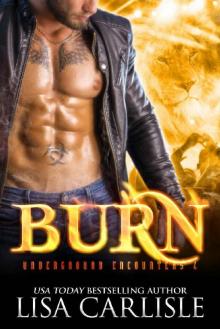 Burn: A shifter and vampire rock star romance (Underground Encounters Book 4) Read online
