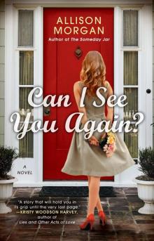 Can I See You Again? Read online