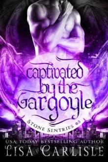 Captivated by the Gargoyle: Stone Sentries 3 Read online