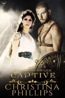 Captive (The Druid Chronicles Book 2) Read online