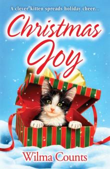 Christmas Joy Read online