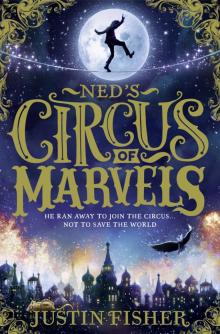 Circus of Marvels Read online