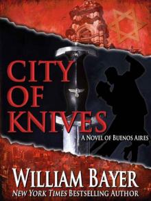 City of Knives Read online