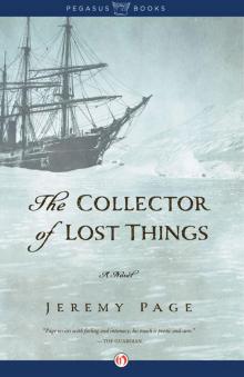 Collector of Lost Things Read online