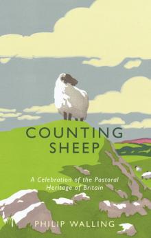 Counting Sheep Read online