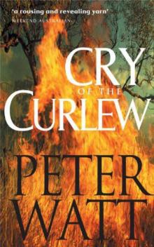 Cry of the Curlew: The Frontier Series 1 Read online