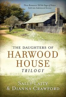 Daughters of Harwood House Trilogy : Three Romances Tell the Saga of Sisters Sold into Indentured Service (9781630586140)