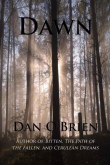 Dawn (Society of Dawn Book 1) Read online