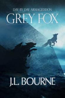 Day by Day Armageddon: Grey Fox