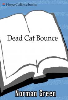 Dead Cat Bounce Read online