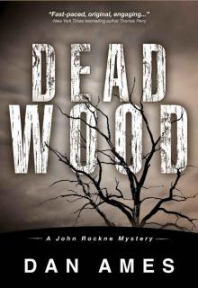 Dead Wood Read online