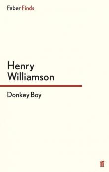 Donkey Boy Read online