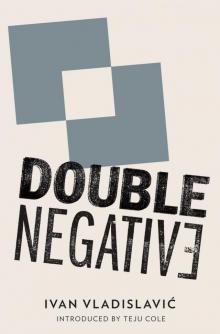 Double Negative Read online