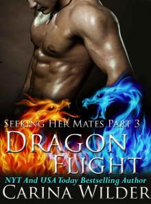 Dragon Flight: A Dragon Shifter Menage Serial (Seeking Her Mates Book 3) Read online