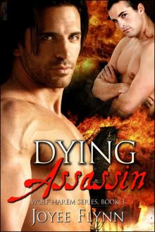 Dying Assassin Read online