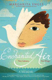 Enchanted Air Read online