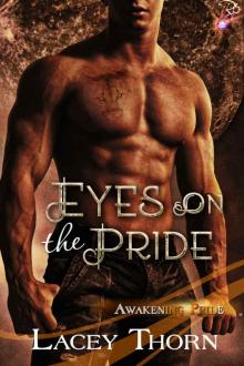 Eyes on the Pride (Awakening Pride Book 8) Read online