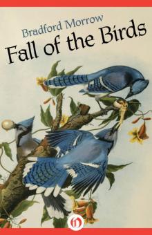Fall of the Birds Read online