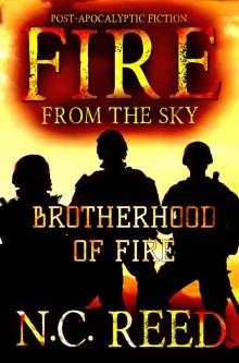 Fire From the Sky: Brotherhood of Fire Read online