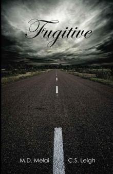 Fugitive (Deceptive Series Book 2)