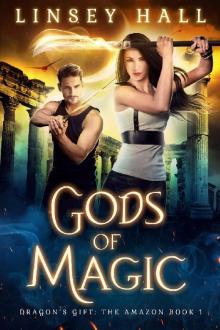 Gods of Magic (Dragon's Gift: The Amazon Book 1) Read online