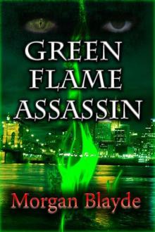 Green Flame Assassin (Demon Lord series, book 2) Read online
