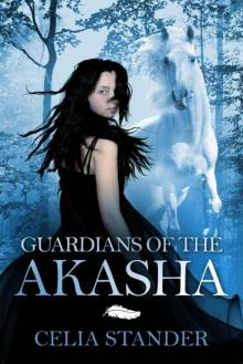 Guardians of the Akasha Read online