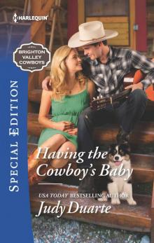 Having the Cowboy's Baby Read online