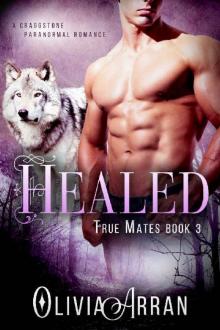 Healed: True Mates Book 3 (Wolf Shifter) (A Craggstone Paranormal Romance) Read online