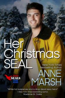 Her Christmas SEAL (When SEALs Come Home Book 7) Read online