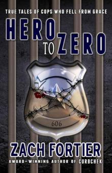 Hero To Zero 2nd edition