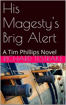 His Magesty's Brig Alert: A Tim Phillips Novel Read online